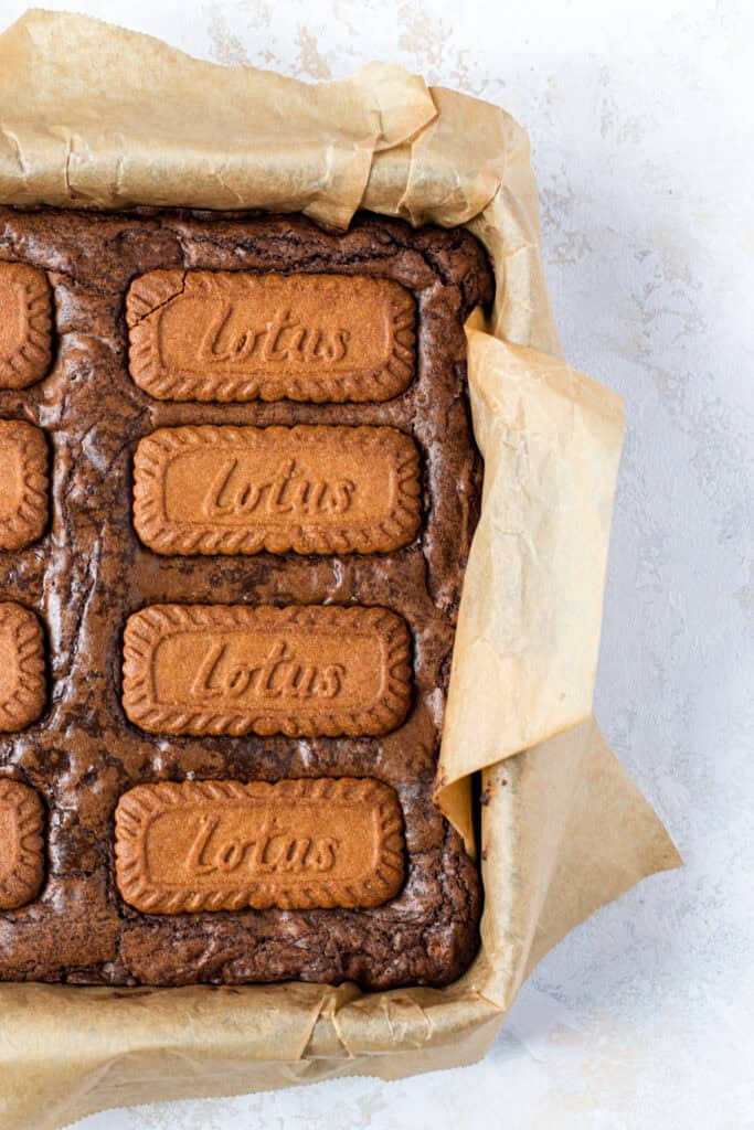Lotus Biscoff Brownies