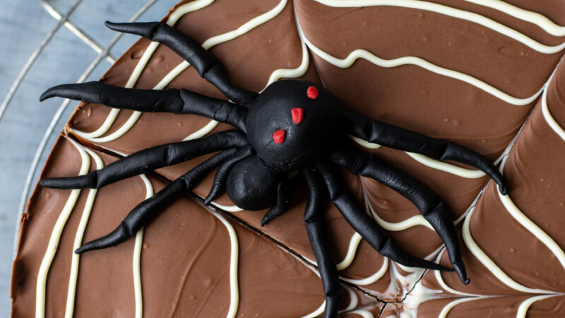 How to make a fondant spider