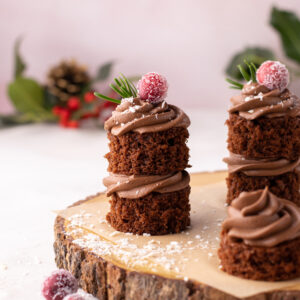 Mini chocolate cakes