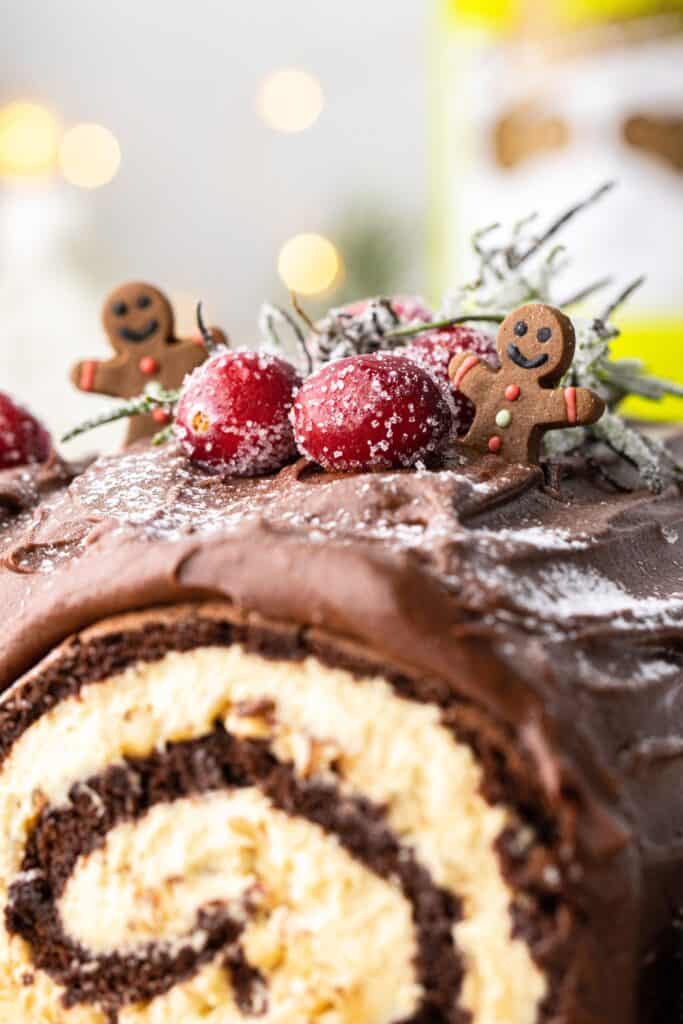 Chocolate yule log