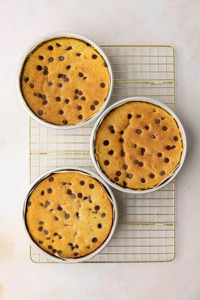 chocolate chip sponge layers