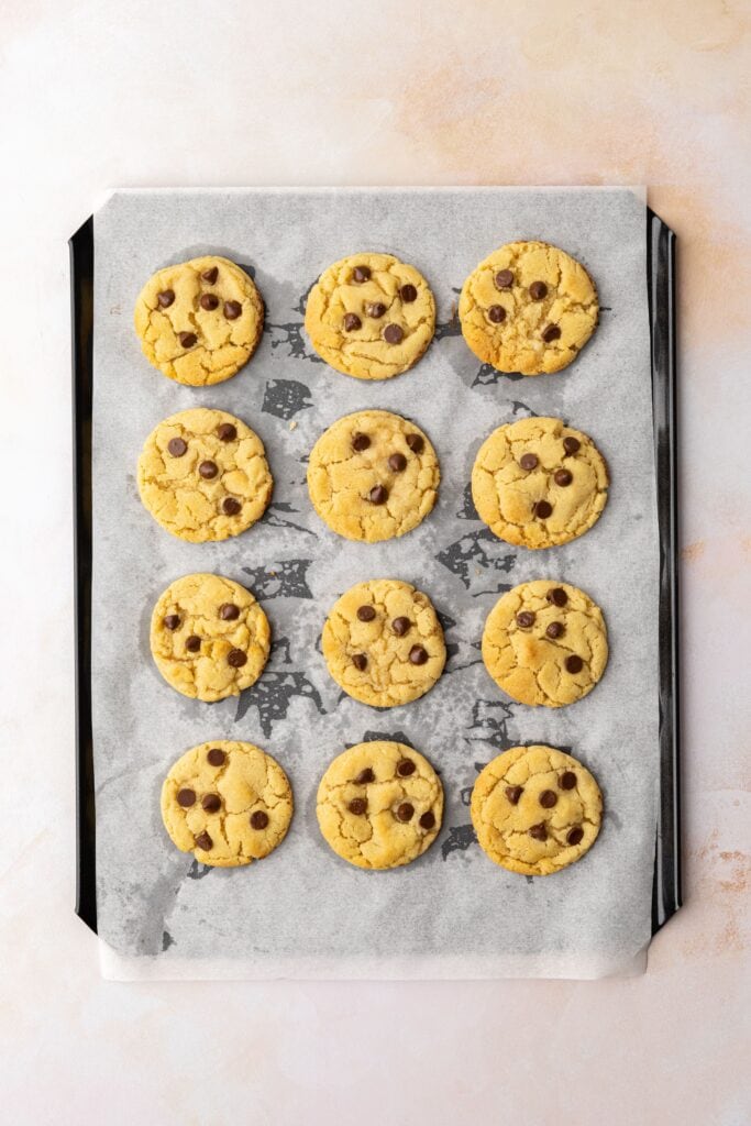 mini homemade chocolate chip cookies