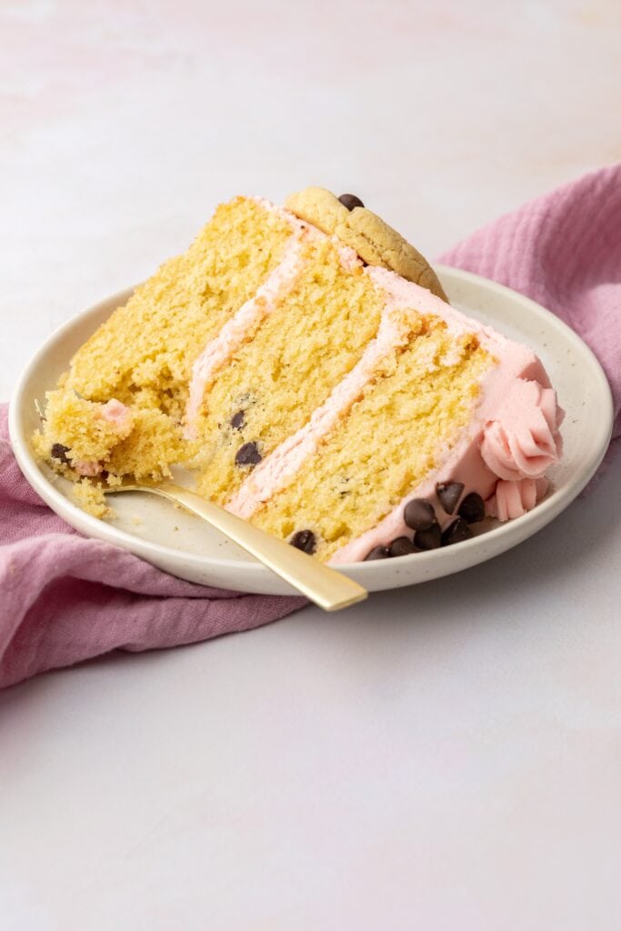 Slice of chocolate chip cookie cake