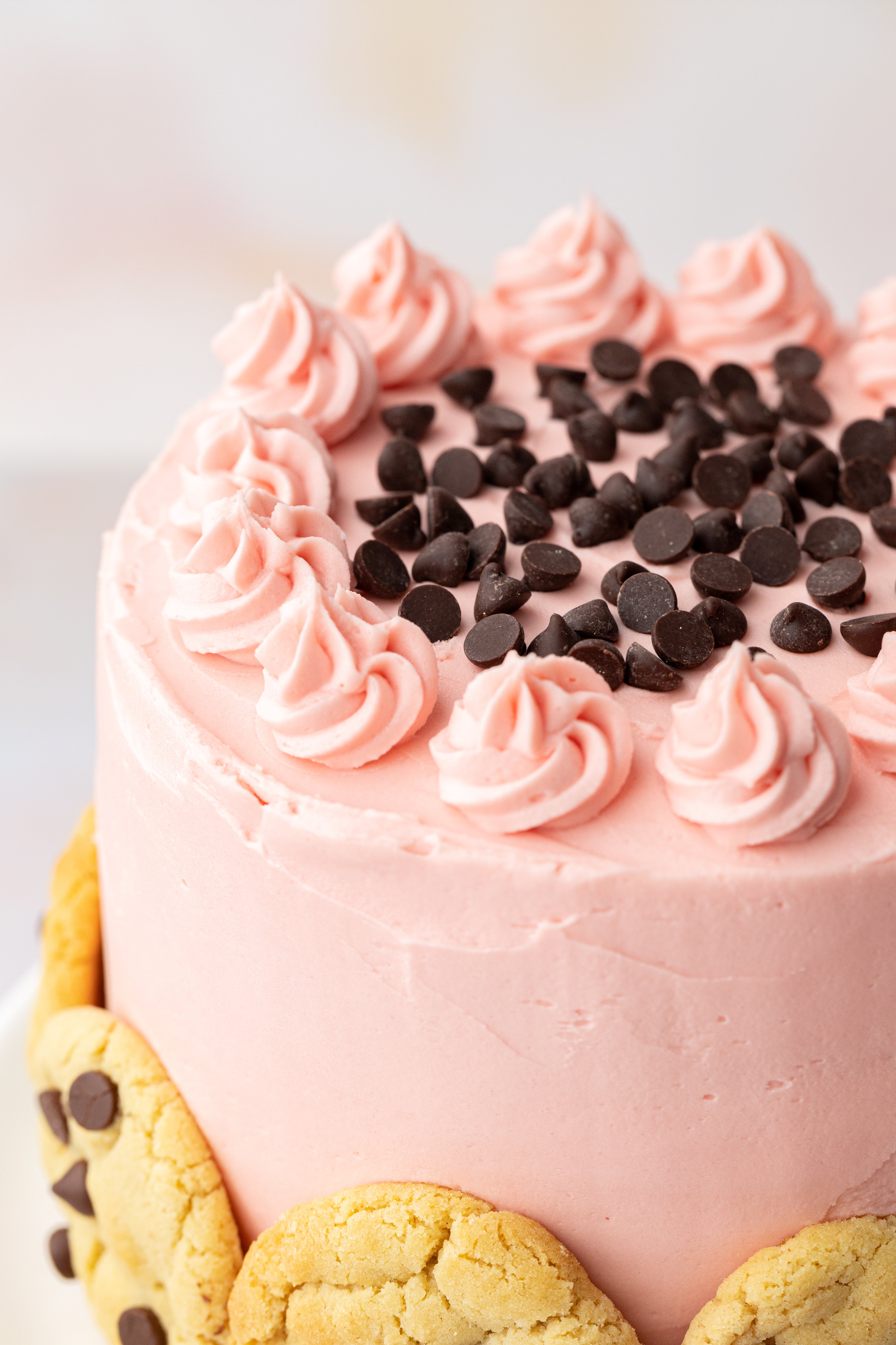 Chocolate Chip Cookie Cake - PinkWhen