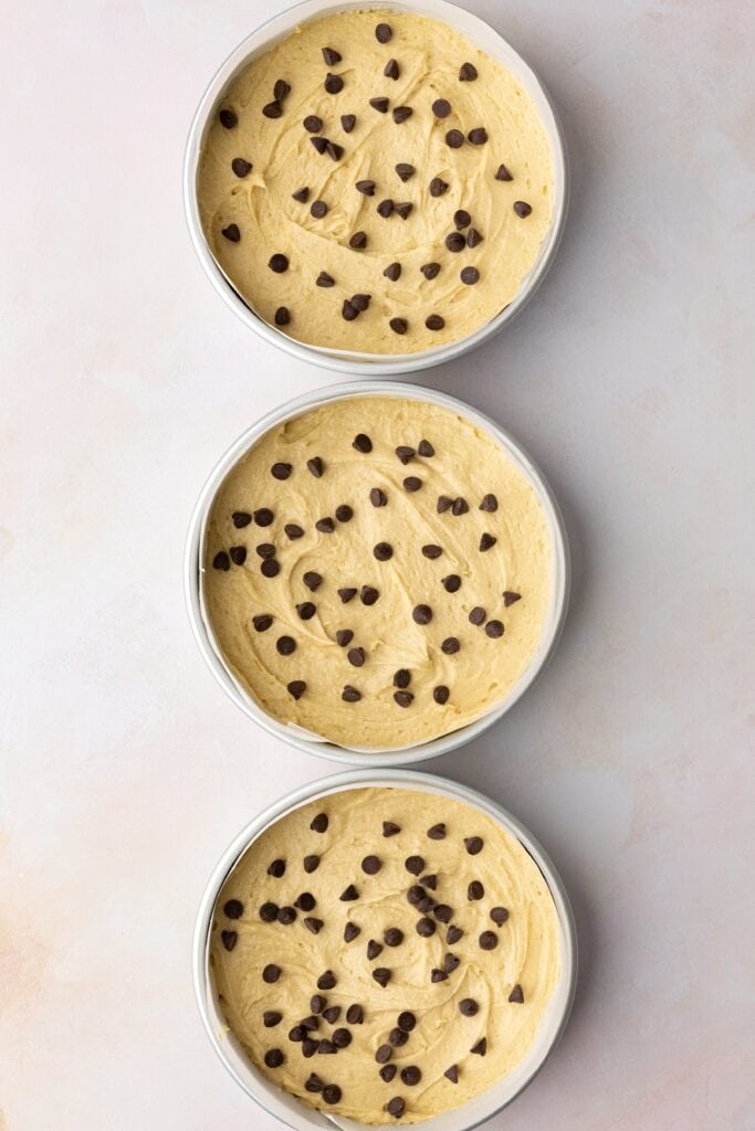 chocolate chip sponge layers