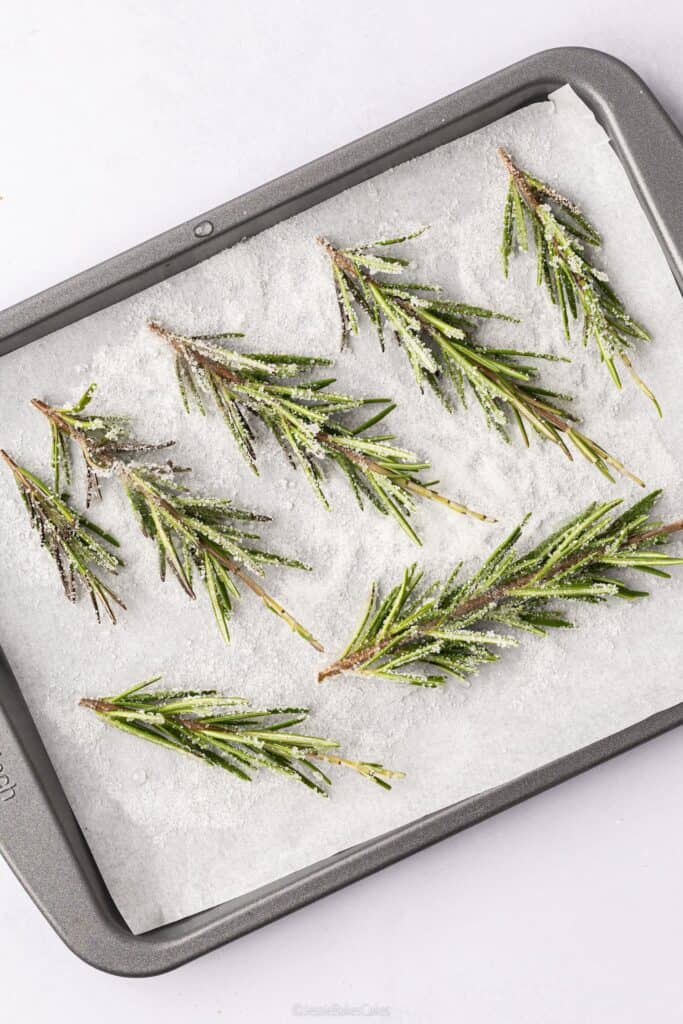 frosted rosemary trees