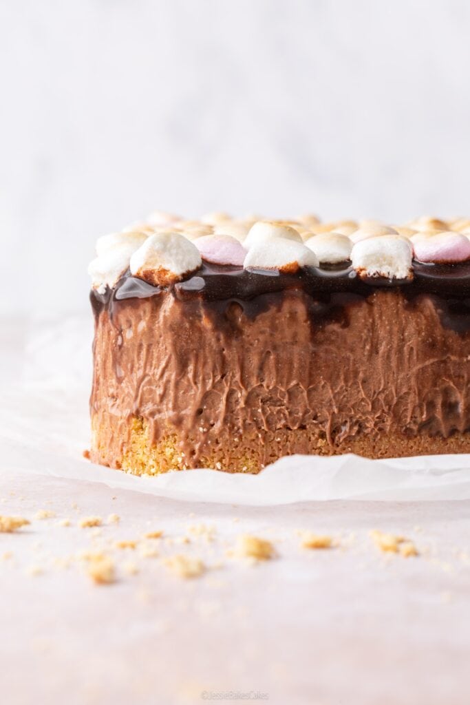 Toasted S'mores Cheesecake Bars