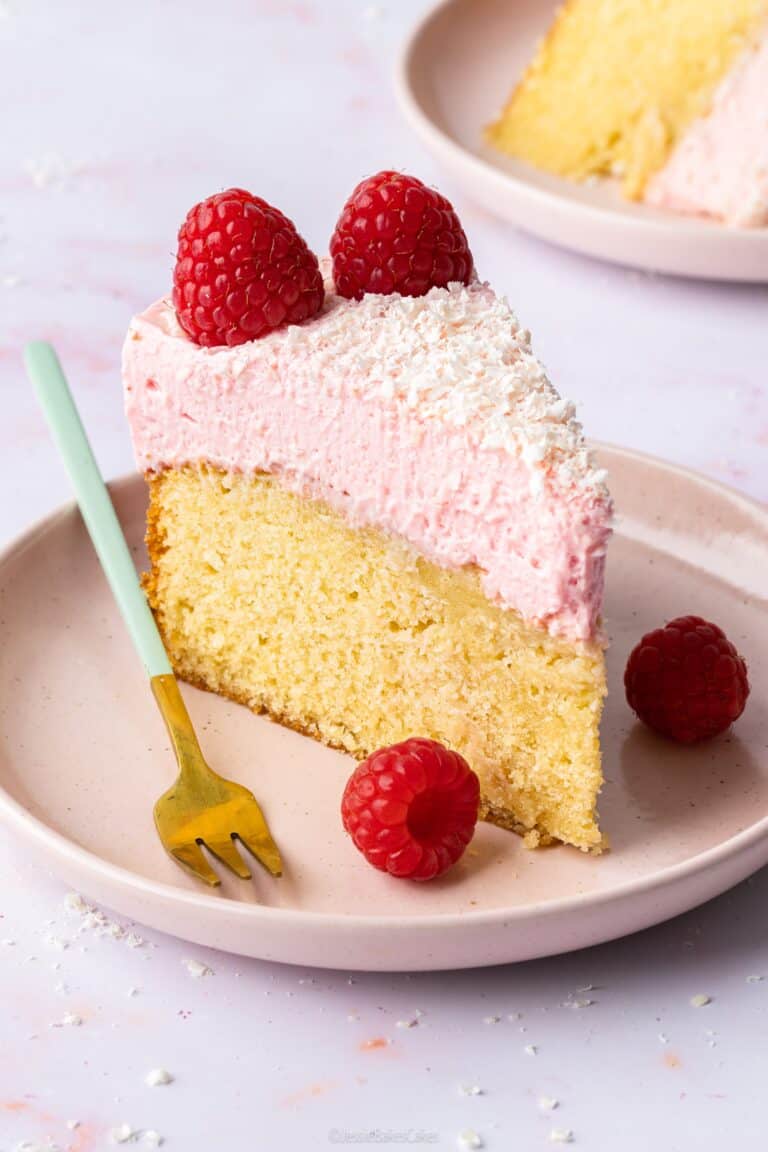 a slice of raspberry mousse cake