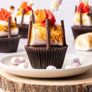 S’mores Campfire Cupcakes
