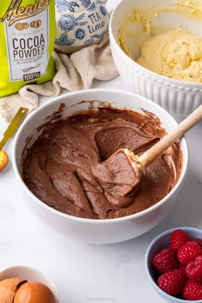 two bowls of cake mixture, one chocolate and one vanilla