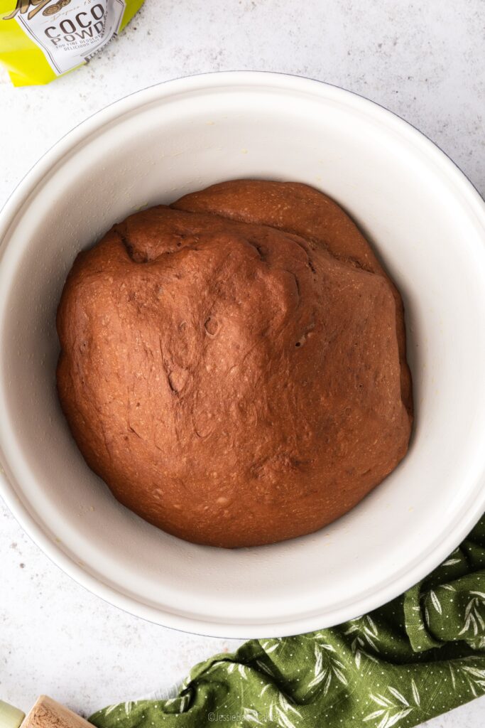 proving chocolate cinnamon roll dough