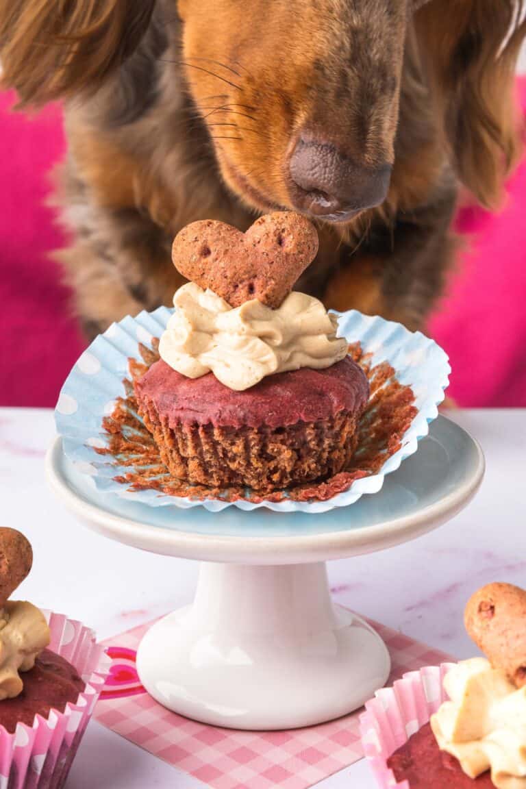 dog friendly Puppy Cupcakes