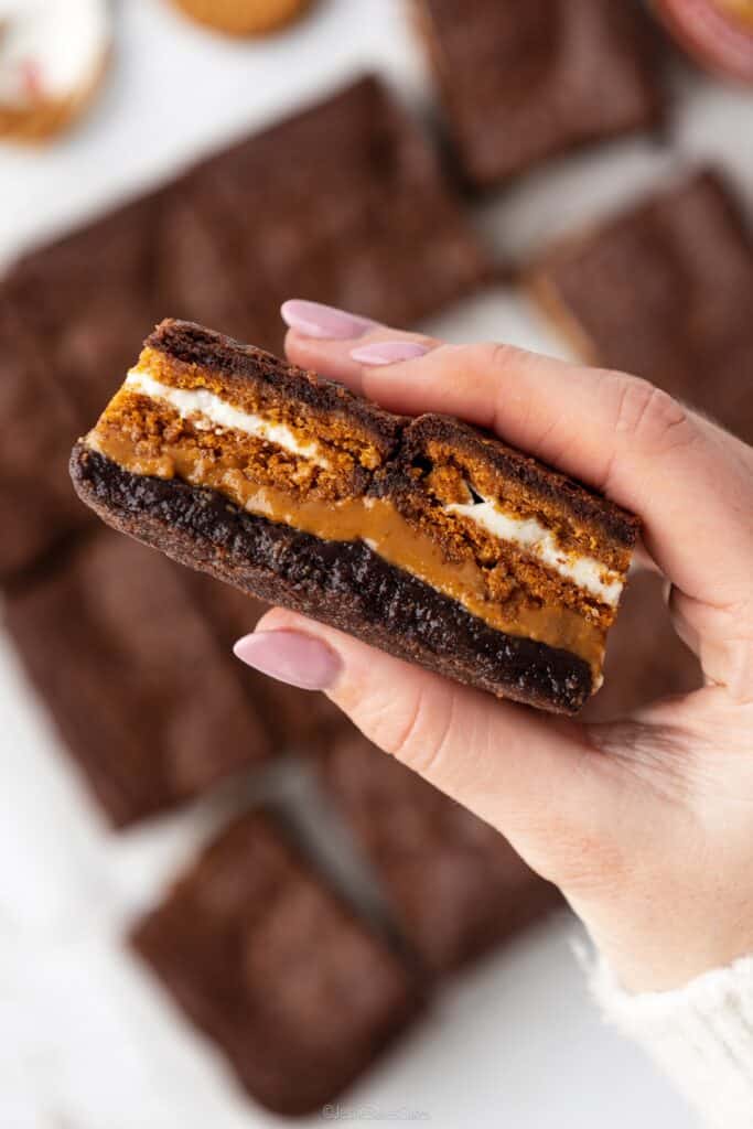Biscoff Stuffed Brownies