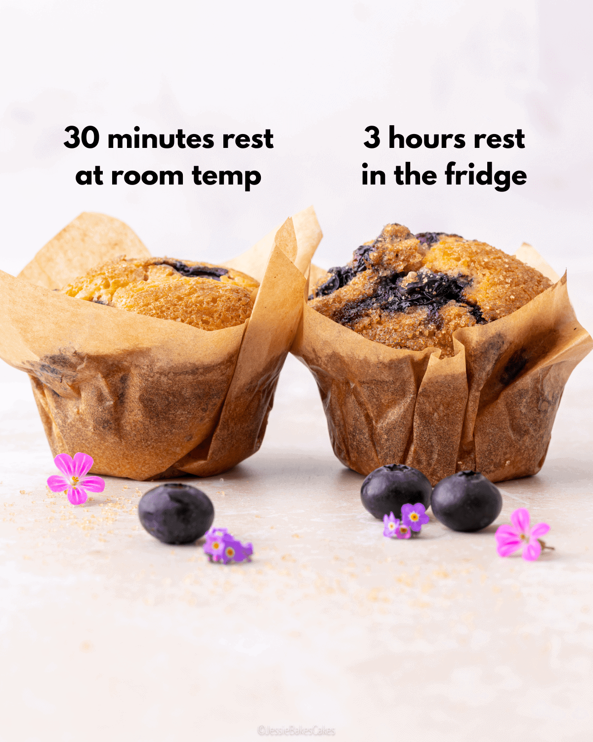 muffin comparison