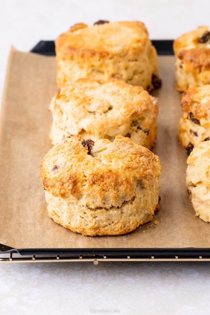 scones out the oven