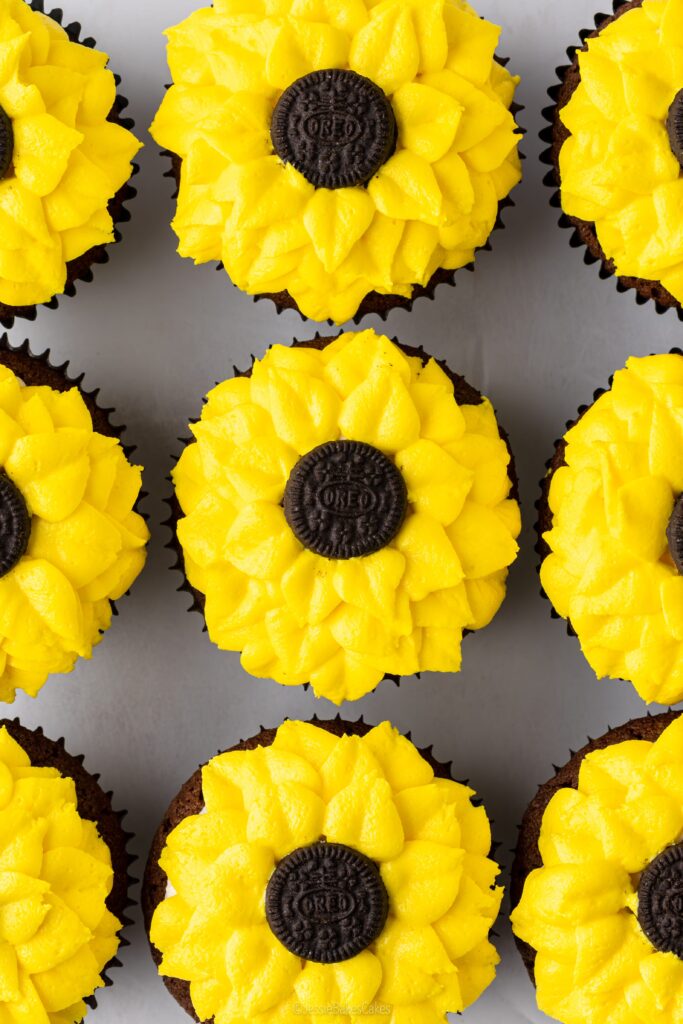 Sunflower cupcakes 