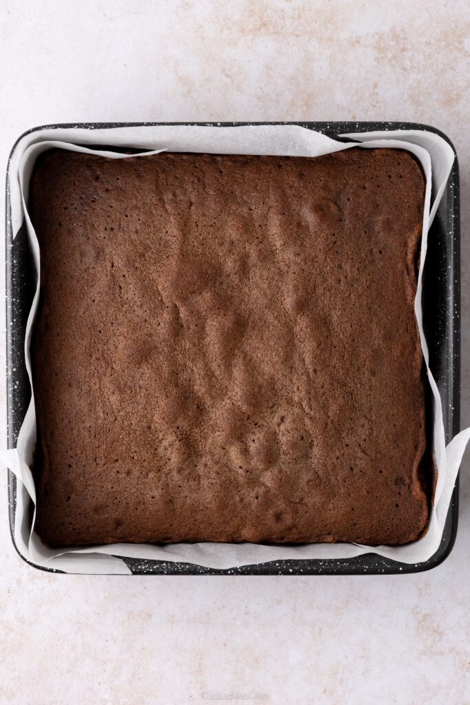 chocolate fancies sponge