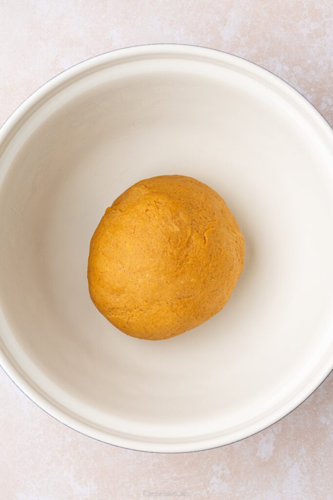 dough before proving