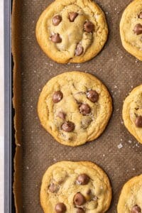 30 minute chocolate chip cookies