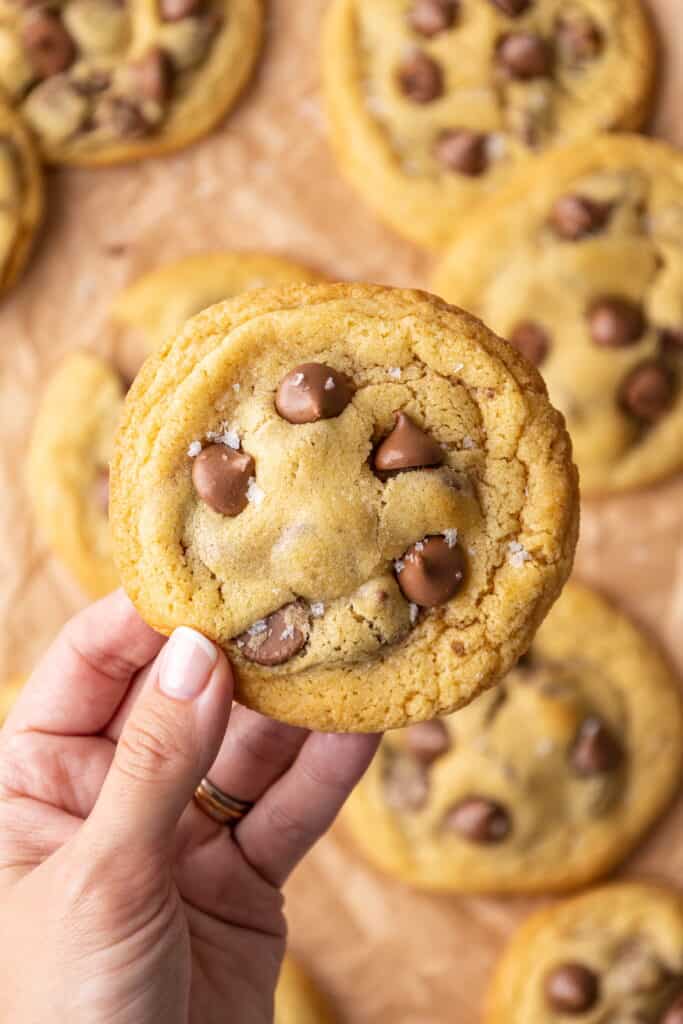 30 minute chocolate chip cookies